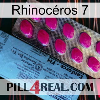 Rhinocéros 7 35